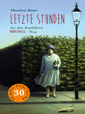 cover image of Letzte Stunden